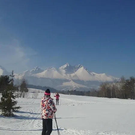 Tatry Guest house *